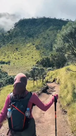 trend slowmo