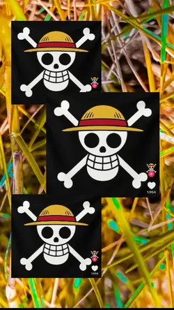 one piece pp