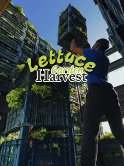 Lettuce garden 3:4