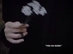 Paranai Basera