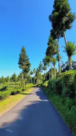 road trip video