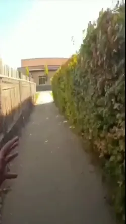 escaping meme 