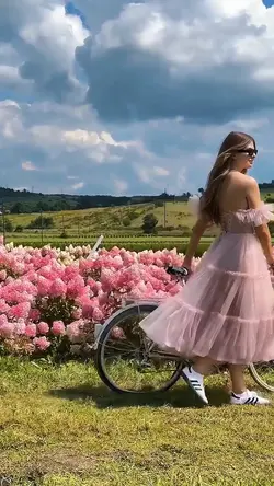 Spring Blossom 