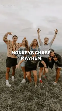 Monkeys chase 