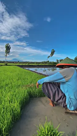 1VIDEO JERNIH