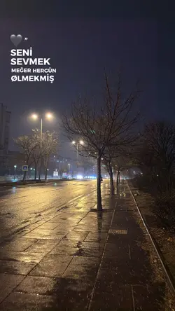 yeni şablon