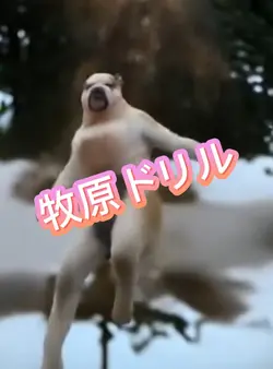 槇原ドリル