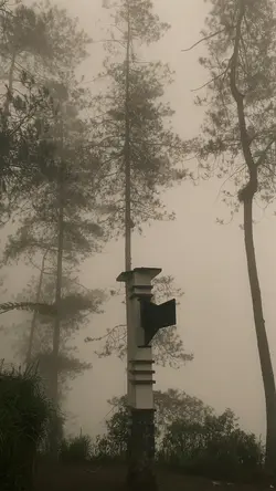 vibes kabut