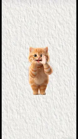 kucing joget viral 