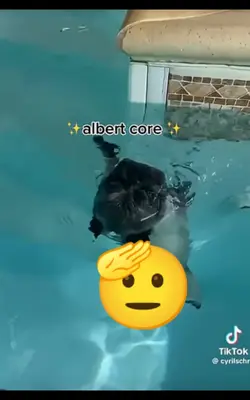 albert