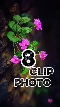 8 clip or photo 