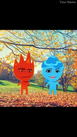 funny meme video 
