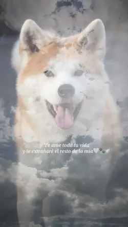 🐾🤍🪽 Te extraño