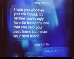 fake friends