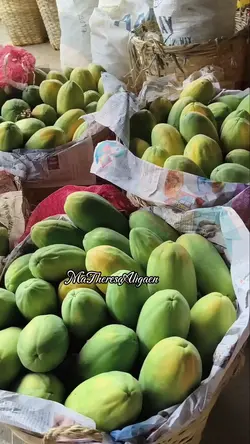 Bagsakan market