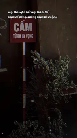 Captions Tâm Trạng 