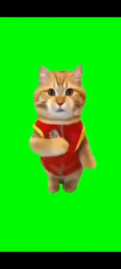 ダンス猫