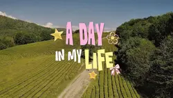 A Day In My Life
