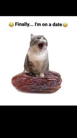 Funny meme video