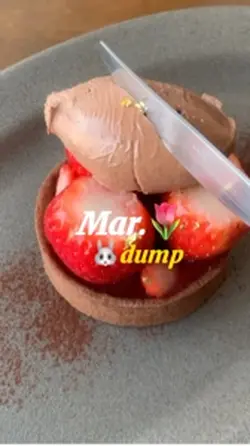 March dump 템플릿🌸