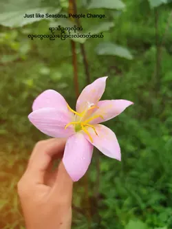 အကြောက်ဆုံးပဲ