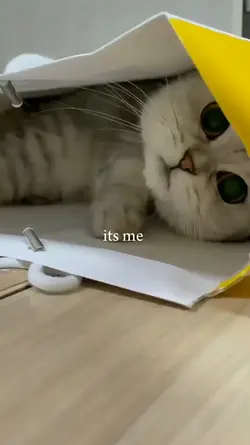 It's me 