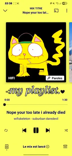 my playlist.