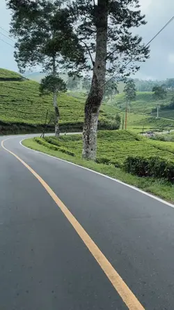 vlog
