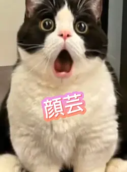 顔芸