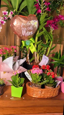Dia das mães | flor