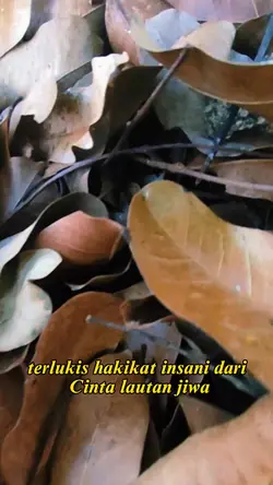 Hakikat Insani..