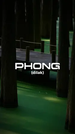PHONG (đilăk)- VSTRA