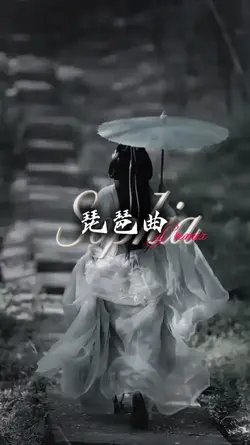 琵琶曲remix