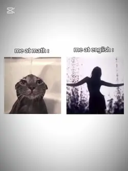 me at math Vs eng