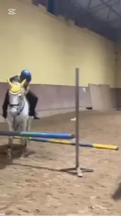 horse fail