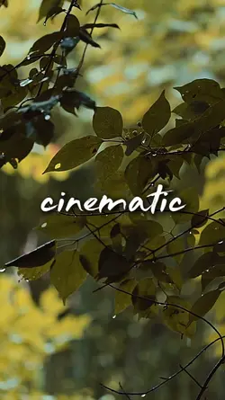 Cinematic 6 Video