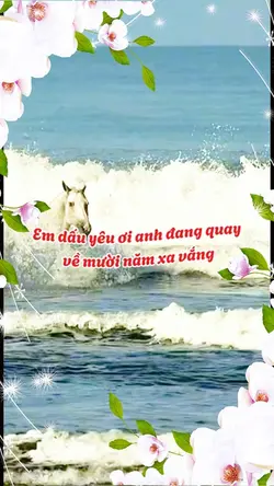 Mẫu 9 ảnh
