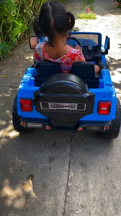 Naik mobil