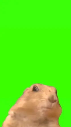 chipmunk face meme