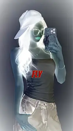 fly 
