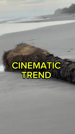 CINEMATIC TREND 