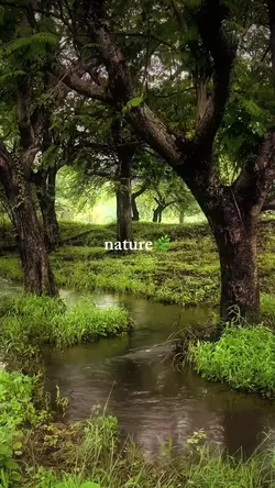 nature🌿