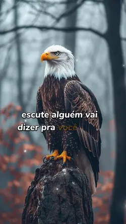 reflexão