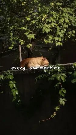 every summertime 