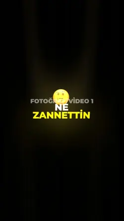 Dur ne zannettin 