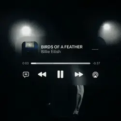 BIRDS OF A FEATHER