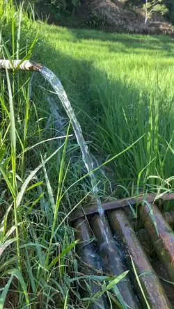 village atmosphere