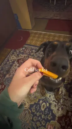 Your my dog and…