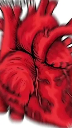 mi corazón y el dueñ