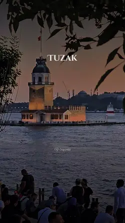 Bir çift göz